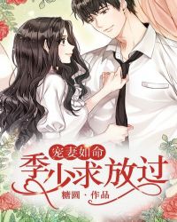 宠妻如命：季少求放过章节列表