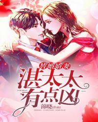 替婚娇妻：湛太太有点凶章节列表