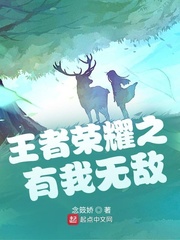 王者荣耀之有我无敌章节列表