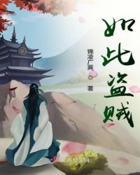 如此盗贼章节列表