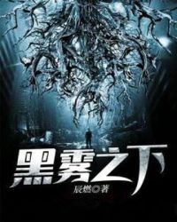 黑雾之下章节列表