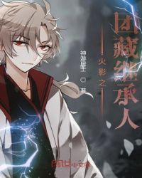 火影之团藏继承人章节列表