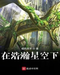 在浩瀚星空下章节列表