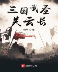 三国武圣关云长章节列表