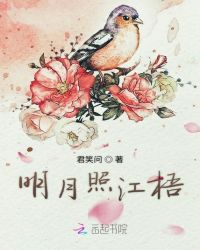 明月照江梧章节列表
