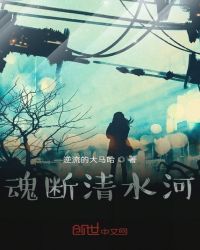 魂断清水河章节列表