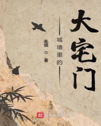 城墙里的大宅门章节列表