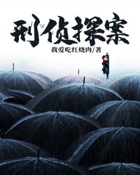 刑侦探案章节列表