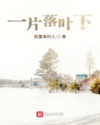 一片落叶下章节列表