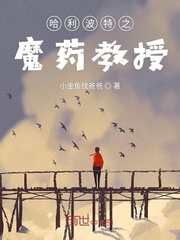 哈利波特之魔药教授章节列表