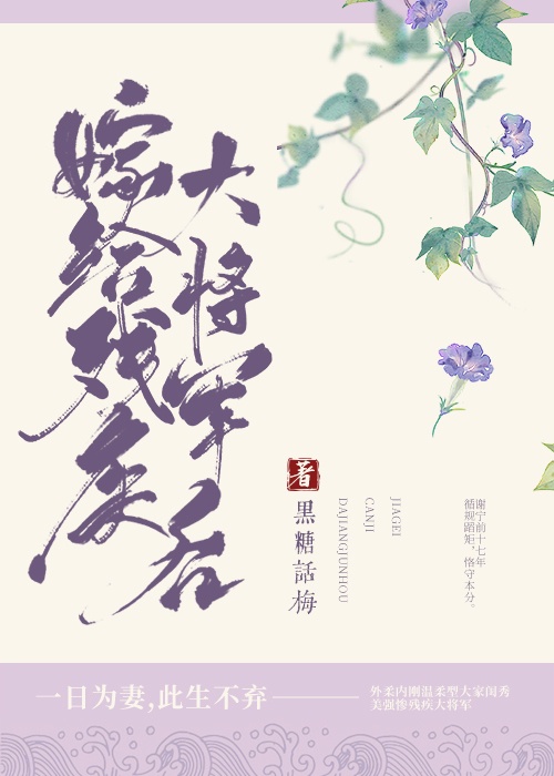 嫁给残疾大将军后章节列表