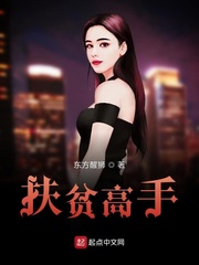 扶贫高手章节列表