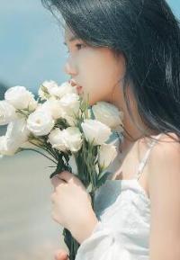 一世豪婿岳风章节列表