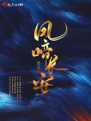 凤啼长安章节列表