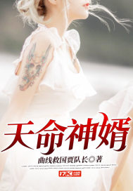 天命神婿章节列表
