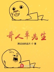 奇人单先生小说免费txt章节列表