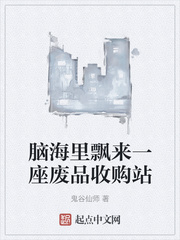 脑海里飘来一座废品收购站章节列表