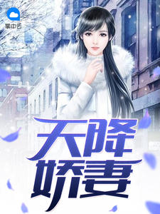 天降娇妻项少恒章节列表