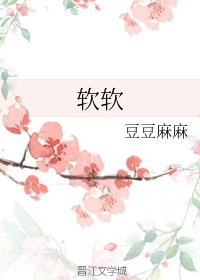 软软章节列表