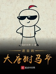 进击的大唐驸马爷章节列表