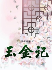 玉金记章节列表