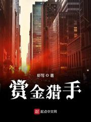 赏金猎手袁忘章节列表