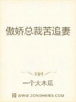 傲娇总裁苦追妻章节列表