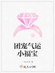 团宠气运小福宝章节列表