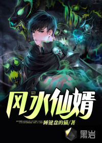 风水仙婿章节列表