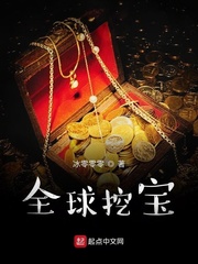 全球挖宝章节列表