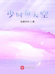 少时的天空章节列表