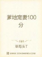 爹地宠妻100分章节列表
