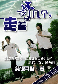 哥几个，走着章节列表
