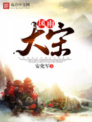 风雨大宋章节列表