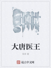 大唐医王章节列表