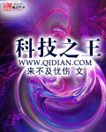 科技之王章节列表