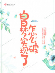 白日梦实现了怎么破章节列表