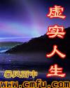 虚实人生章节列表