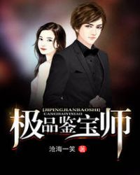 极品鉴宝师章节列表
