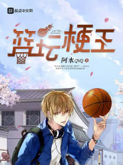 篮坛梗王章节列表