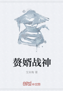 赘婿战神章节列表
