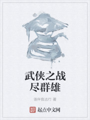 武侠之战尽群雄章节列表