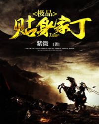 极品贴身家丁章节列表