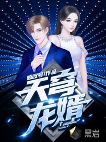 天穹龙婿章节列表