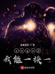 csgo之我能一换一章节列表