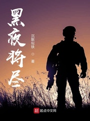 黑夜将尽章节列表