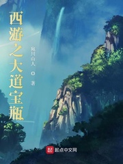 西游之大道宝瓶章节列表