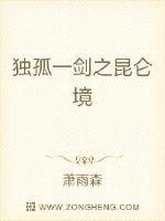 独孤一剑之昆仑境章节列表