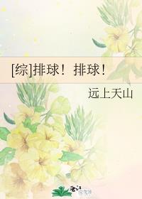 [综]排球！排球！章节列表