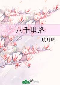 八千里路章节列表